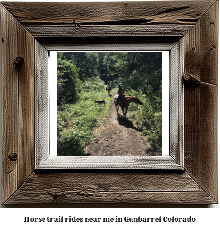 horse trail rides near me in Gunbarrel, Colorado